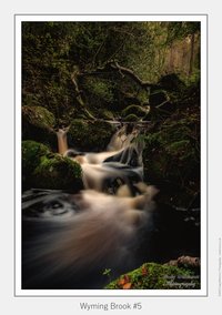 Fairy Glen Gorge