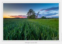 Arthington Sunset 2019