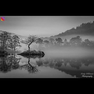 Mist And Trees, Rydal Water