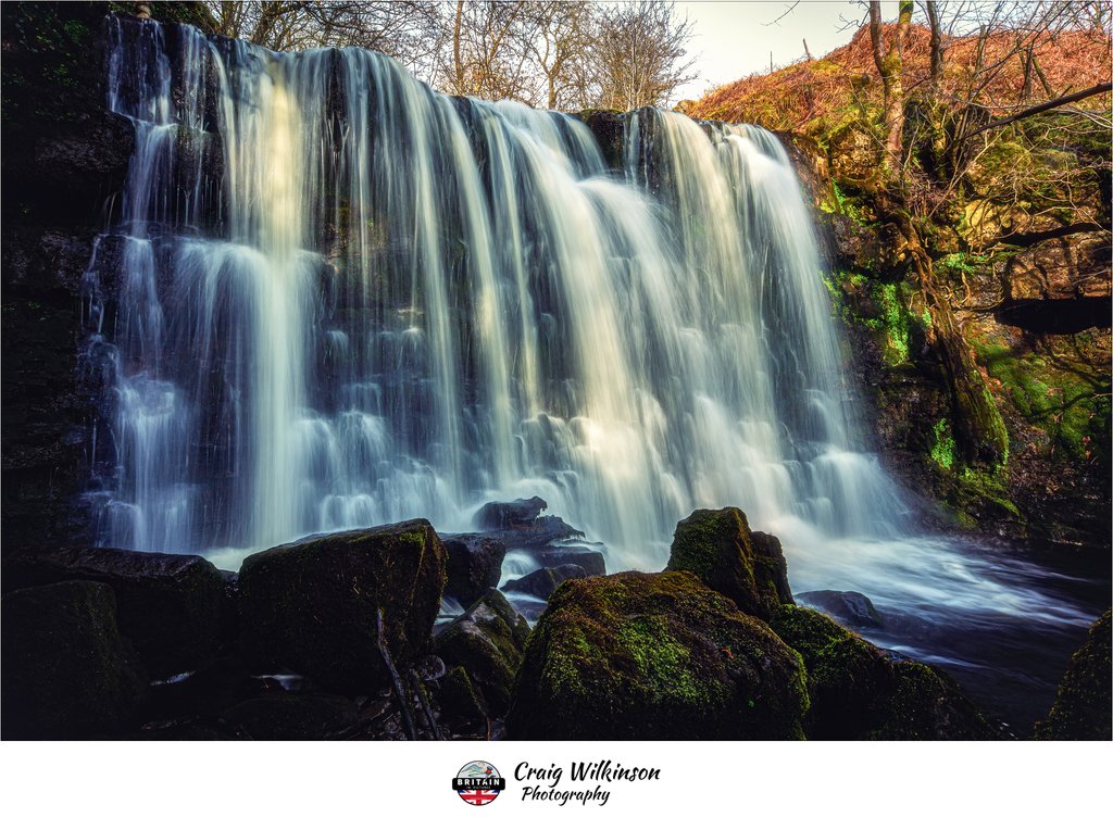 Scale Haw Force