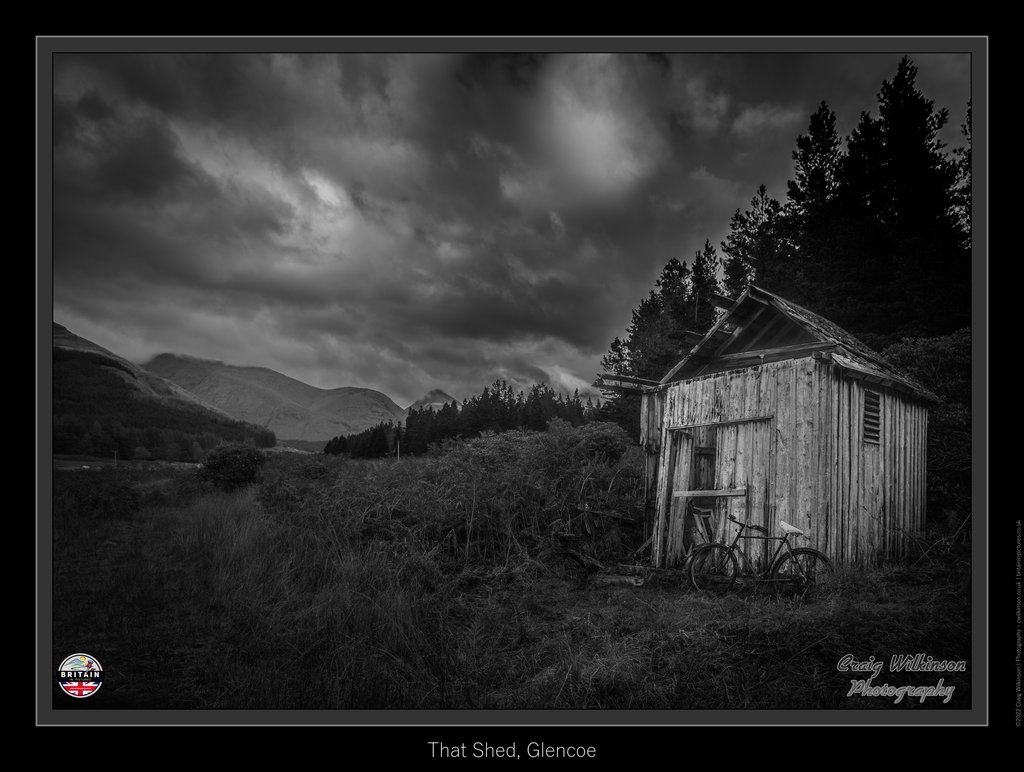 Bike Shed