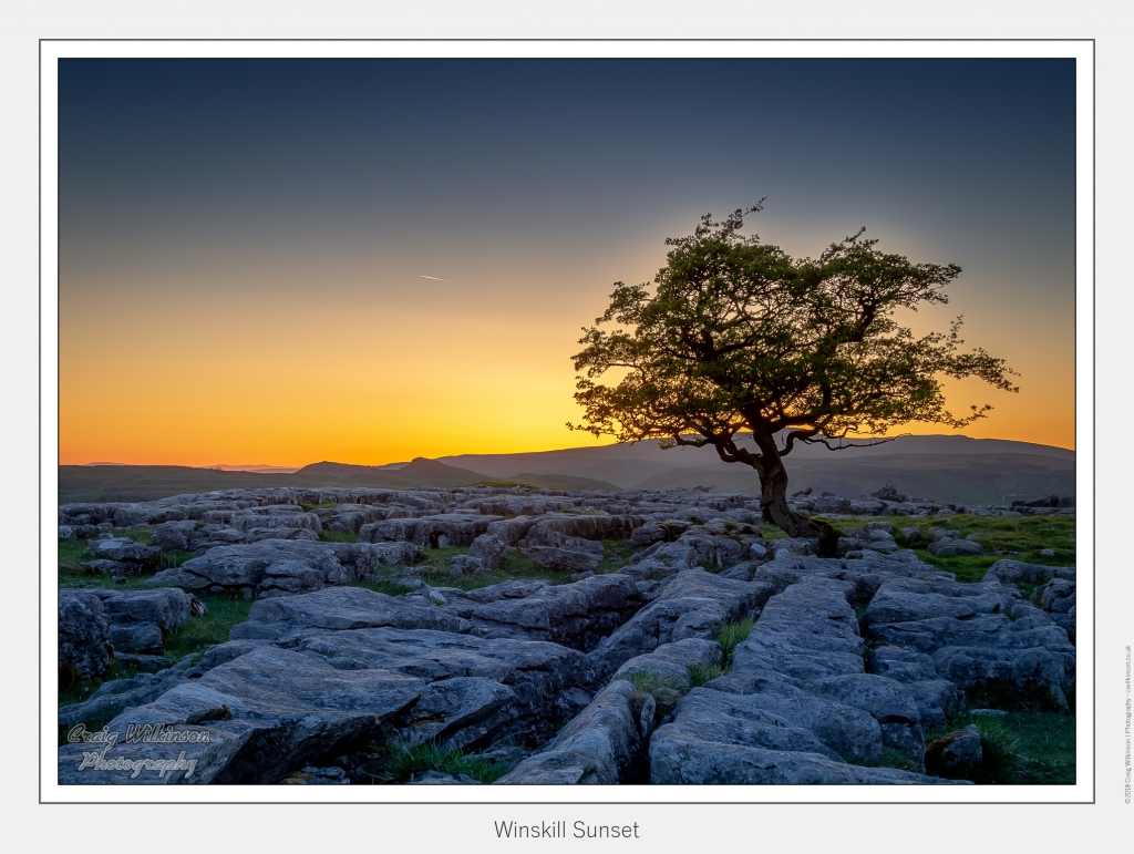 Winskill Lone Tree